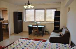 Apartament cu 1 camera, decomandat, 41 mp, zona strazii Horea