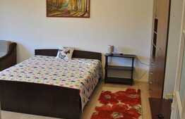 Apartament cu 1 camera, decomandat, 41 mp, zona strazii Horea