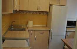 Apartament cu 1 camera, decomandat, 41 mp, zona strazii Horea