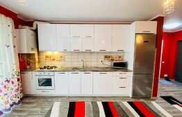 Apartament cu 2 camere, 50 mp, mobilat lux, parcare, zona Piata 1 Mai