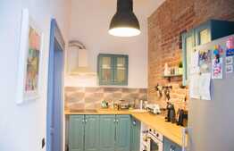 Apartament cu 2 camere, decomandat, pet friendly, 46 mp, Piata Muzeului