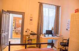 Apartament cu 2 camere, decomandat, pet friendly, 46 mp, Piata Muzeului