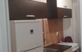 Garsoniera 30 mp, decomandata, recent renovata, zona Nicolae Titulescu