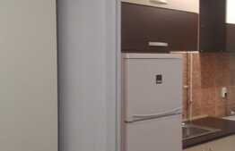 Garsoniera 30 mp, decomandata, recent renovata, zona Nicolae Titulescu