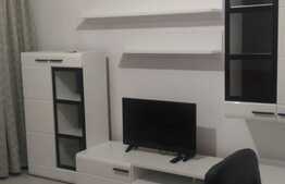 Garsoniera 30 mp, decomandata, recent renovata, zona Nicolae Titulescu