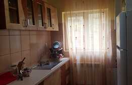 Apartament o camera, 41 mp, zona Stejarului