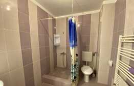 Oportunitate!! Zona verde, 2 dormitoare, balcon, zona Stejarului!