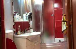 Apartament 2 camere, 54mp,  zona expo Transilvania