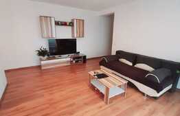 Apartament 2 camere, 54 mp utili, parcare, zona Muzeul Apei