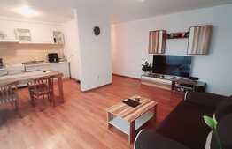 Apartament 2 camere, 54 mp utili, parcare, zona Muzeul Apei