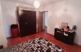 Apartament 2 camere, 54 mp utili, parcare, zona Muzeul Apei