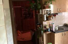 Apartament 2 camere, decomandat, etaj intermediar, garaj, boxa, Zona Bucium