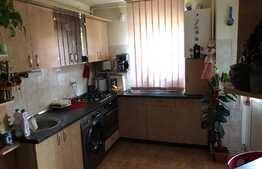 Apartament 2 camere, decomandat, etaj intermediar, garaj, boxa, Zona Bucium