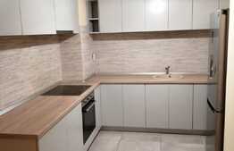 Apartament de lux cu 2 camere in zona USAMV