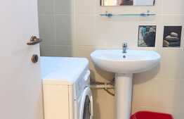 Apartament o camera, 32mp, pet friendly, zona Farmec