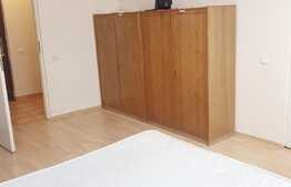 Apartament o camera, 32mp, pet friendly, zona Farmec