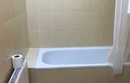 Apartament o camera, 32mp, pet friendly, zona Farmec