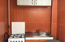Apartament o camera, 32mp, pet friendly, zona Farmec