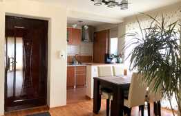 Apartament 3 camere 65 mp, in villa, zona Lidl Buna Ziua