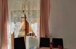 De vanzare casa individuala,180 mp utili, 545 mp teren, Cartierul Europa