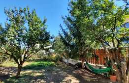 De vanzare casa individuala,180 mp utili, 545 mp teren, Cartierul Europa