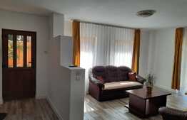 De vanzare casa individuala,180 mp utili, 545 mp teren, Cartierul Europa