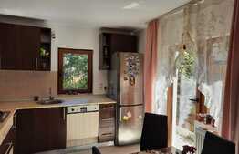 De vanzare casa individuala,180 mp utili, 545 mp teren, Cartierul Europa