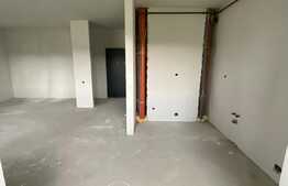 Apartament cu 1 camera, 52 mp, intermediar, semifinisat, zona BMW