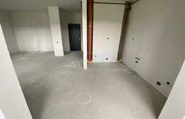 Apartament cu 1 camera, 52 mp, semifinisat, intermediar, zona BMW