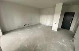 Apartament cu 1 camera, 52 mp, semifinisat, intermediar, zona BMW