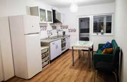 Apartament de lux cu 3 camere decomandate, 70 de mp, zona Casa Vikingilor