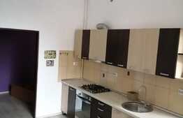 Apartament cu 2 camere, 35 mp, in zona Sora 