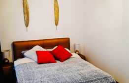 Duplex de vanzare, 119 mp utili, 250 mp teren Dambul Rotund