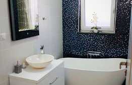 Duplex de vanzare, 119 mp utili, 250 mp teren Dambul Rotund