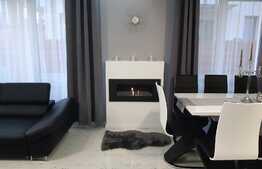 Duplex de vanzare, 119 mp utili, 250 mp teren Dambul Rotund