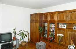 Vanzare 3 camere decomandate la 2 minute de Profi