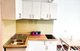 Investitia ideala! Garsoniera cocheta, mobilata utilata lux, 15mp, zona Kaufland