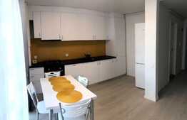 Apartament cu 2 camere, decomandat, 56 mp, gradina, totul nou, parcare, zona Vivo 