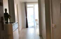 Apartament cu 2 camere, decomandat, 56 mp, gradina, totul nou, parcare, zona Vivo 