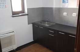 Apartament 160 mp, zona strazii Bucuresti!