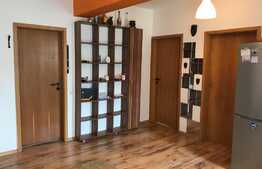 Apartament 3 camere, etaj intermediar, panorama superba in zona Edgar Quinet