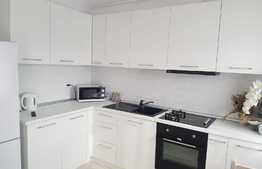 Apartament 2 camere, lux, 48 mp, terasa, zona Fagului