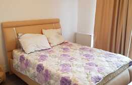 Apartament 2 camere, lux, 48 mp, terasa, zona Fagului
