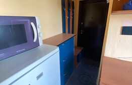 Apartament cu 1 camera, 12 mp, zona strazii Aleea Garbaului