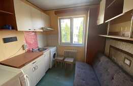 Apartament cu 1 camera, 12 mp, zona strazii Aleea Garbaului