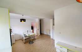 Apartament 2 camere, zona strazii Florilor!
