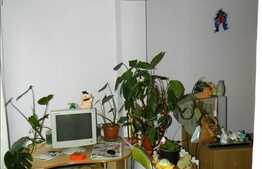 Vanzare 1 camera decomandata, 32 mp, zona Hotel Paradis, cu parcare si boxa