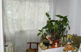 Vanzare 1 camera decomandata, 32 mp, zona Hotel Paradis, cu parcare si boxa