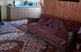 Cabana de vanzare in Belis, zona Pensiunii Meridian 