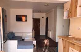 Apartament 2 camere, 45.96 mp, orientare S-V, in Buna Ziua 